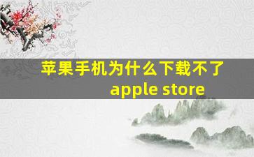 苹果手机为什么下载不了apple store